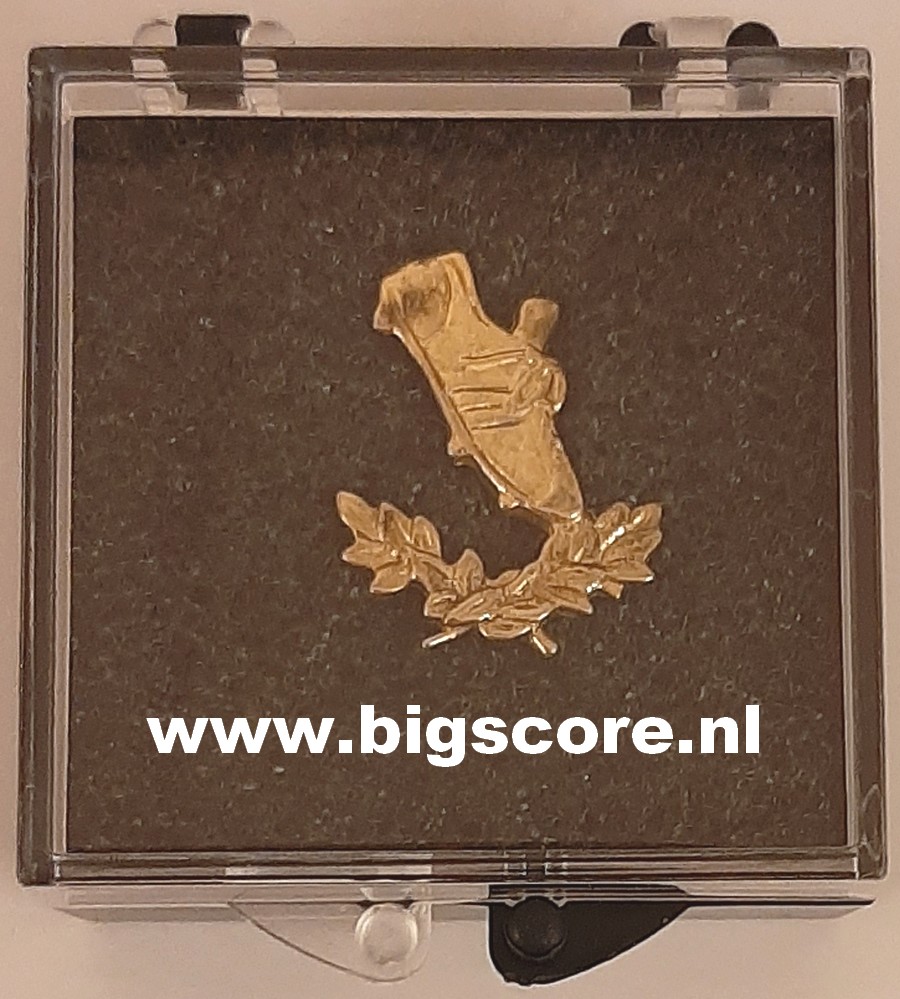 Voetbal Pin Goud LAATSTE 6 OP=OP!!